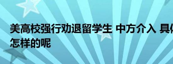 美高校强行劝退留学生 中方介入 具体情况是怎样的呢