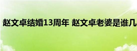 赵文卓结婚13周年 赵文卓老婆是谁几个孩子