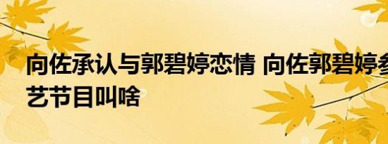 向佐承认与郭碧婷恋情 向佐郭碧婷参加的综艺节目叫啥