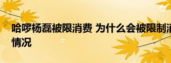 哈啰杨磊被限消费 为什么会被限制消费具体情况