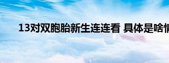 13对双胞胎新生连连看 具体是啥情况