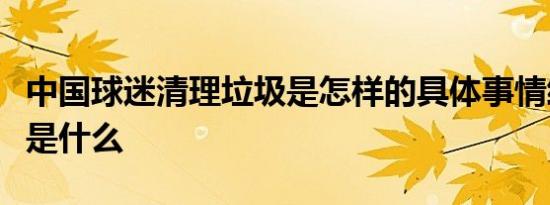 中国球迷清理垃圾是怎样的具体事情经过细节是什么