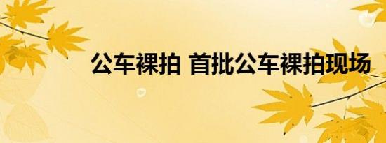 公车裸拍 首批公车裸拍现场