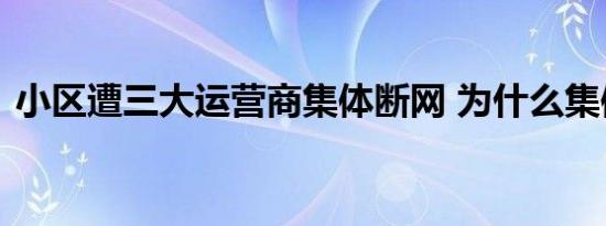 小区遭三大运营商集体断网 为什么集体断网