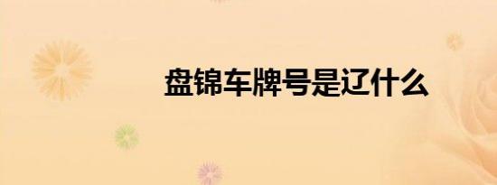 盘锦车牌号是辽什么