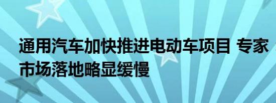 通用汽车加快推进电动车项目 专家：在中国市场落地略显缓慢