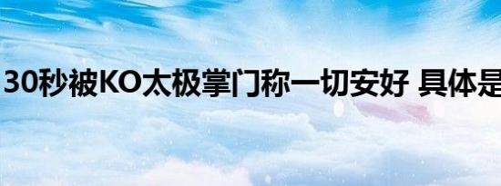 30秒被KO太极掌门称一切安好 具体是啥情况