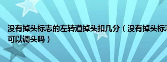 没有掉头标志的左转道掉头扣几分（没有掉头标志的左转道可以调头吗）