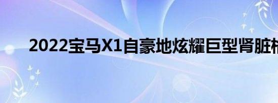 2022宝马X1自豪地炫耀巨型肾脏格栅