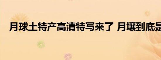 月球土特产高清特写来了 月壤到底是啥样