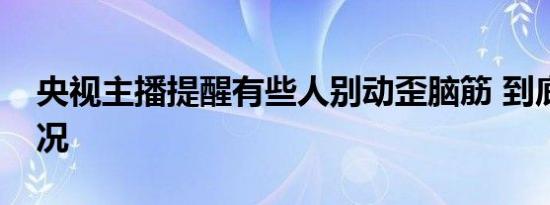 央视主播提醒有些人别动歪脑筋 到底是啥情况