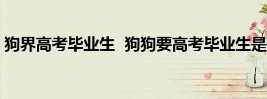 狗界高考毕业生  狗狗要高考毕业生是啥情况