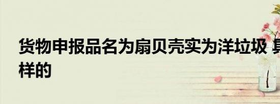 货物申报品名为扇贝壳实为洋垃圾 具体是怎样的