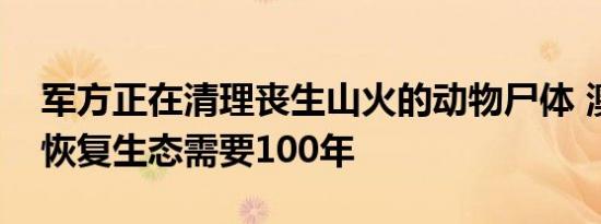 军方正在清理丧生山火的动物尸体 澳洲火山恢复生态需要100年