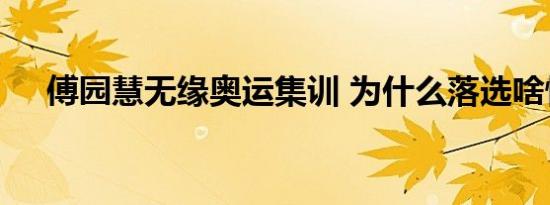 傅园慧无缘奥运集训 为什么落选啥情况