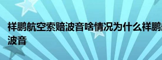 祥鹏航空索赔波音啥情况为什么祥鹏航空索赔波音