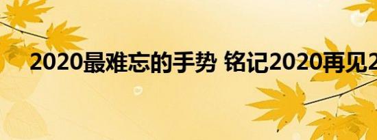 2020最难忘的手势 铭记2020再见2020