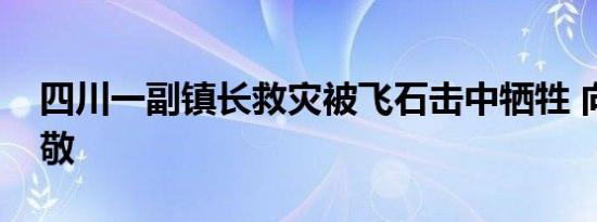 四川一副镇长救灾被飞石击中牺牲 向英雄致敬