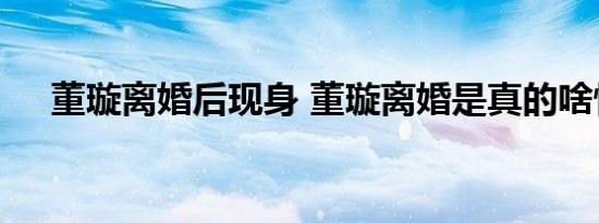 董璇离婚后现身 董璇离婚是真的啥情况