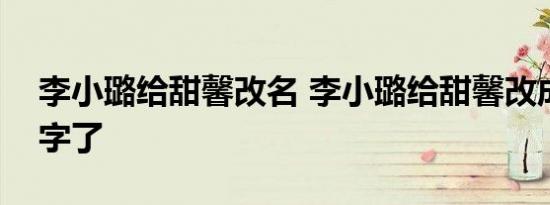 李小璐给甜馨改名 李小璐给甜馨改成什么名字了