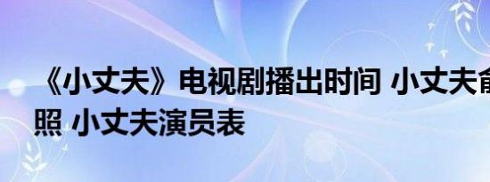 《小丈夫》电视剧播出时间 小丈夫俞飞鸿剧照 小丈夫演员表