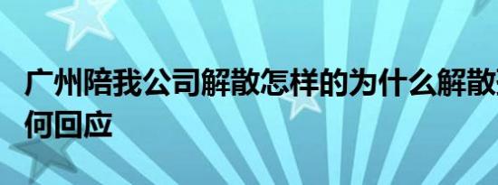 广州陪我公司解散怎样的为什么解散孙宇晨如何回应