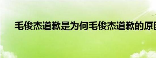 毛俊杰道歉是为何毛俊杰道歉的原因是