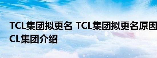 TCL集团拟更名 TCL集团拟更名原因是什么TCL集团介绍