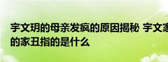 宇文玥的母亲发疯的原因揭秘 宇文家16年前的家丑指的是什么