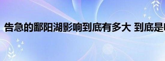 告急的鄱阳湖影响到底有多大 到底是啥情况