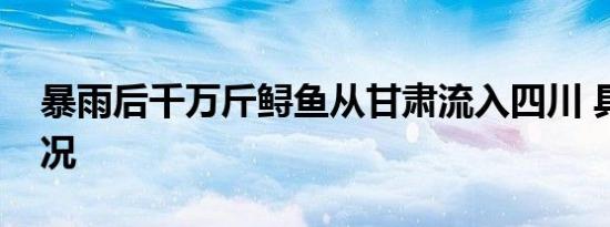 暴雨后千万斤鲟鱼从甘肃流入四川 具体啥情况