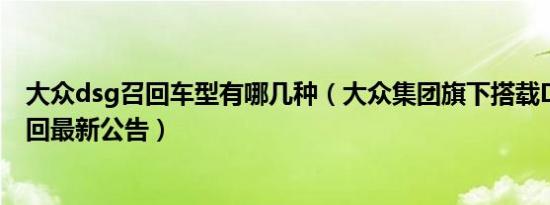 大众dsg召回车型有哪几种（大众集团旗下搭载DSG车型召回最新公告）