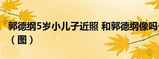 郭德纲5岁小儿子近照 和郭德纲像吗长什么样（图）