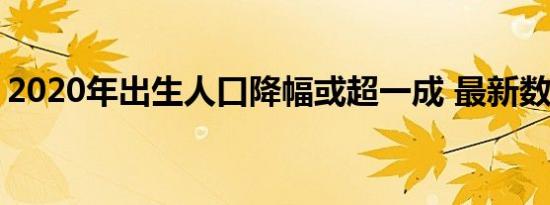 2020年出生人口降幅或超一成 最新数据报告