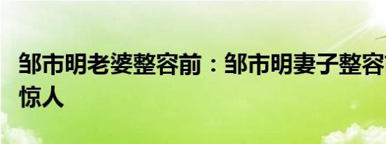 邹市明老婆整容前：邹市明妻子整容前后差别惊人