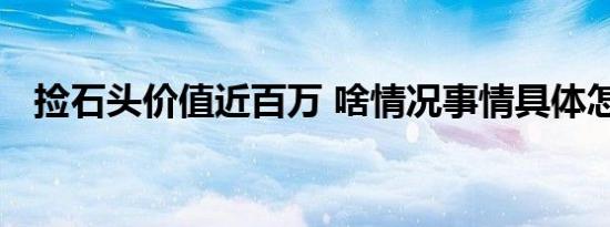 捡石头价值近百万 啥情况事情具体怎样的