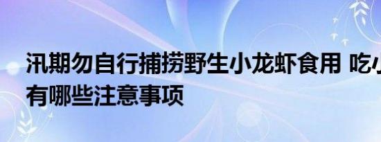 汛期勿自行捕捞野生小龙虾食用 吃小龙虾还有哪些注意事项