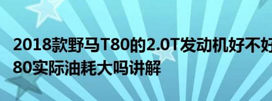 2018款野马T80的2.0T发动机好不好及野马T80实际油耗大吗讲解