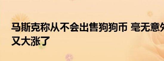 马斯克称从不会出售狗狗币 毫无意外狗狗币又大涨了