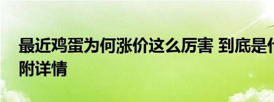 最近鸡蛋为何涨价这么厉害 到底是什么原因附详情