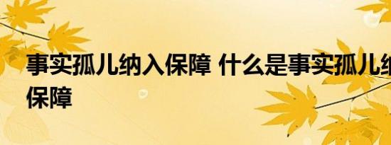 事实孤儿纳入保障 什么是事实孤儿纳入什么保障