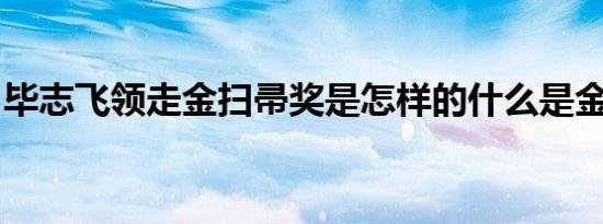 毕志飞领走金扫帚奖是怎样的什么是金扫帚奖