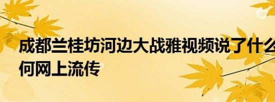 成都兰桂坊河边大战雅视频说了什么内容 为何网上流传