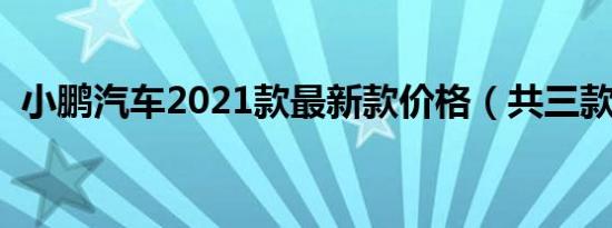 小鹏汽车2021款最新款价格（共三款车型）