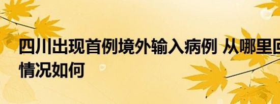 四川出现首例境外输入病例 从哪里回川现在情况如何