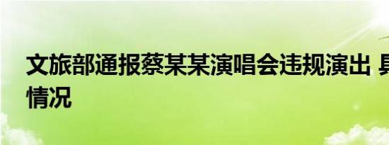 文旅部通报蔡某某演唱会违规演出 具体是啥情况