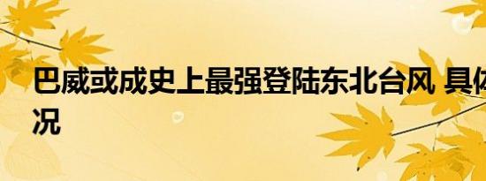 巴威或成史上最强登陆东北台风 具体是啥情况