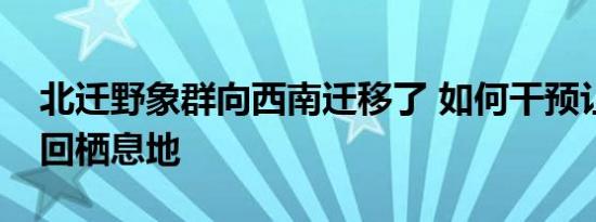 北迁野象群向西南迁移了 如何干预让象群返回栖息地