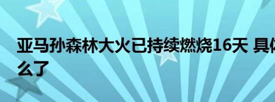 亚马孙森林大火已持续燃烧16天 具体发生什么了