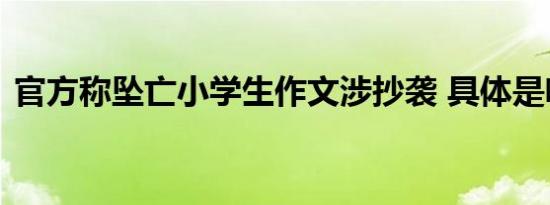 官方称坠亡小学生作文涉抄袭 具体是啥情况